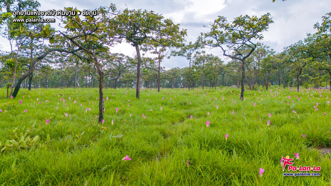 Pa Hin Ngam National Park